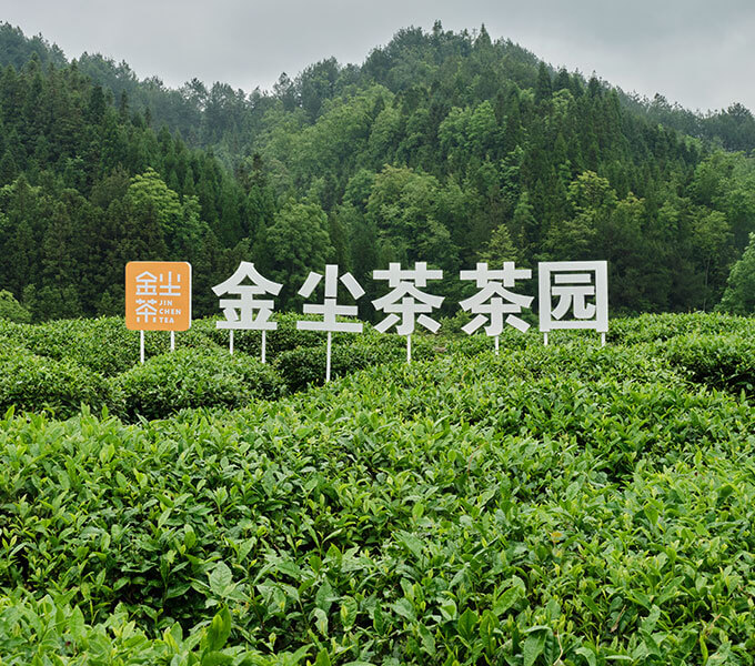 Operating Philosophy