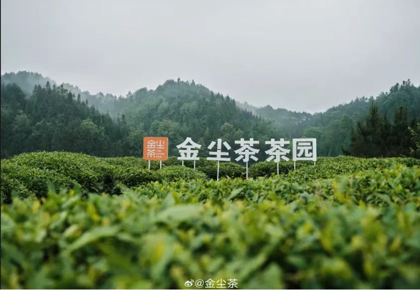 1761389950993188.jpg d84080c83ace0d2d9f8b84e69e3b2e92_20250106173612721798.jpg