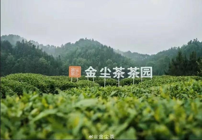 1761390164360353.jpg 73328061df1db0d343b6bc567efe1b59_20250106173612768139.jpg