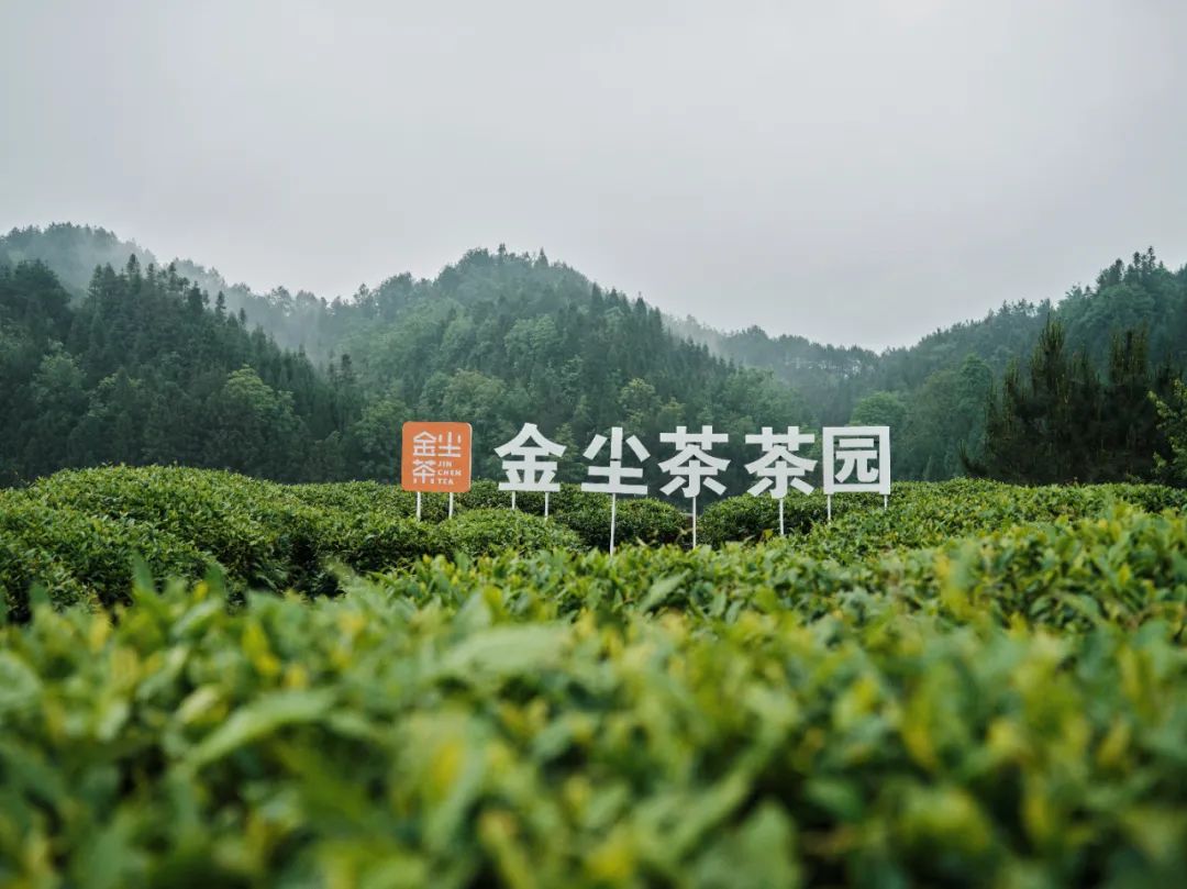 1761391609716056.jpg 6ace284b865ea5a2ba802764d0220dde_20250709175202713510.jpg